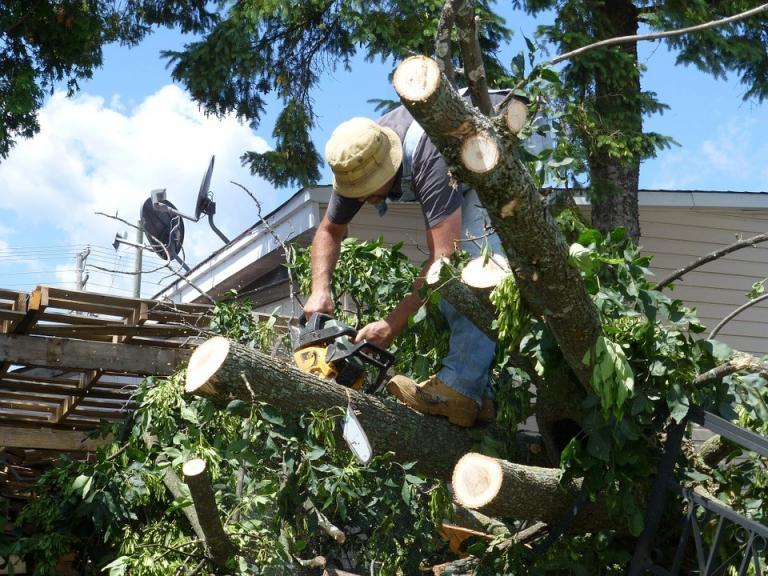 Tree Removal &amp; Trimming Contractor Liability Insurance